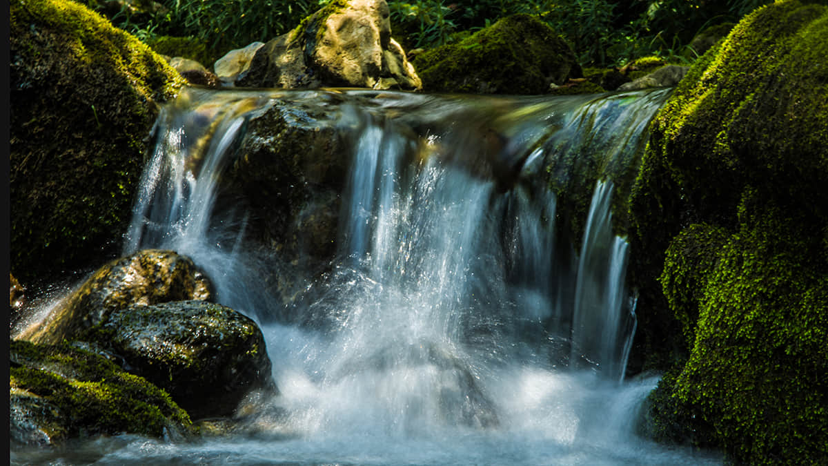 特有的水源优势和地理优势，无缝灌装，实保证水质甘冽清醇。